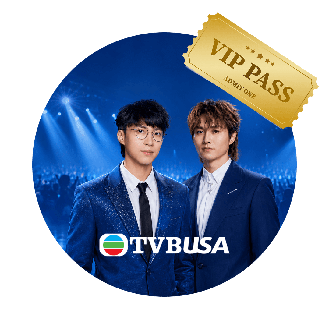 赠送演唱会 VIP 门票