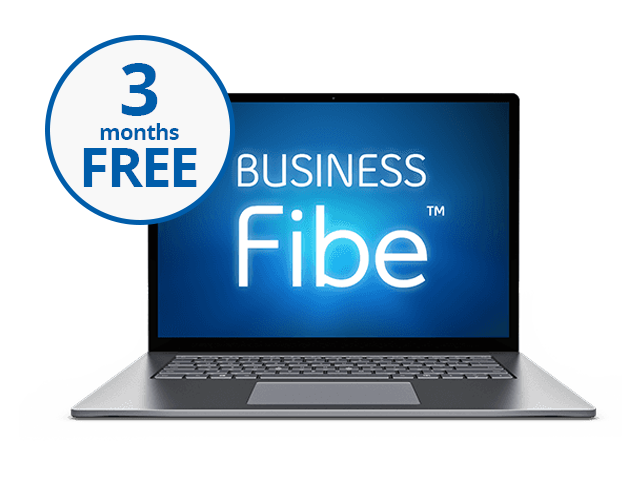 Business Internet